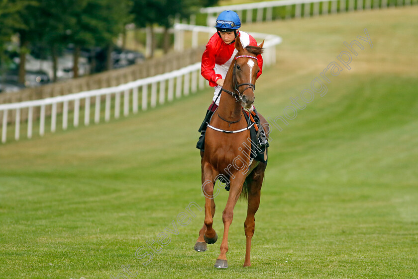 Ice-House-0001 
 ICE HOUSE (Cieren Fallon)
Newmarket 22 Jul 2022 - Pic Steven Cargill / Racingfotos.com