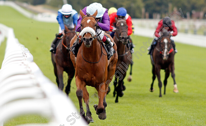 Quickstep-Lady-0005 
 QUICKSTEP LADY (Oisin Murphy) wins The Ladbrokes Giving Extra Places Every Day Novice Stakes
Goodwood 28 Aug 2020 - Pic Steven Cargill / Racingfotos.com