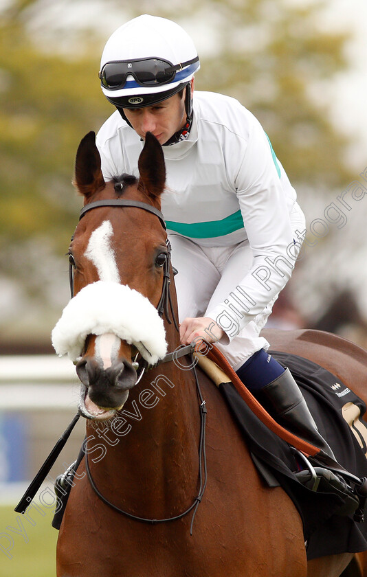 Look-Around-0001 
 LOOK AROUND (Oisin Murphy)
Newmarket 16 Apr 2019 - Pic Steven Cargill / Racingfotos.com