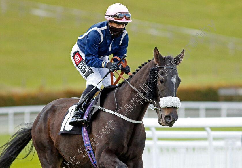 Kashi-0001 
 KASHI (Hayley Turner)
Goodwood 11 Oct 2020 - Pic Steven Cargill / Racingfotos.com