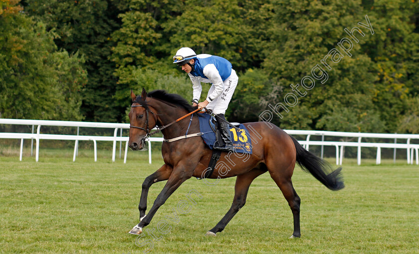 Jet-Action-0001 
 JET ACTION (Jan-Erik Neuroth)
Bro Park 18 Sep 2022 - Pic Steven Cargill / Racingfotos.com