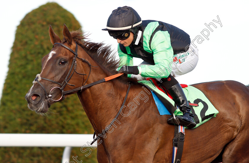 Progressive-Dawn-0005 
 PROGRESSIVE DAWN (Nicola Currie) wins The 32Red On The App Store Novice Stakes Div2
Kempton 8 Aug 2018 - Pic Steven Cargill / Racingfotos.com