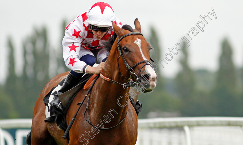 Spanish-Star-0004 
 SPANISH STAR (David Probert) wins The Download The BetVictor App Handicap
Newbury 13 Aug 2021 - Pic Steven Cargill / Racingfotos.com