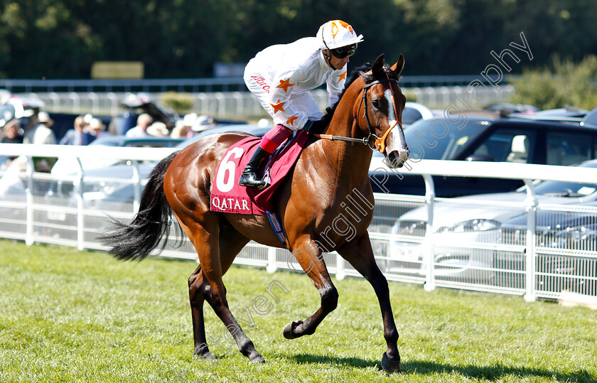 Neverland-Rock-0002 
 NEVERLAND ROCK (Frankie Dettori)
Goodwood 2 Aug 2018 - Pic Steven Cargill / Racingfotos.com