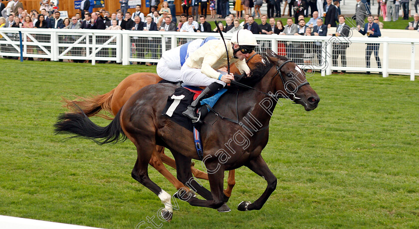 Shambolic-0005 
 SHAMBOLIC (Robert Havlin) wins The Royal Foresters British EBF Fillies Novice Stakes
Ascot 8 Sep 2018 - Pic Steven Cargill / Racingfotos.com