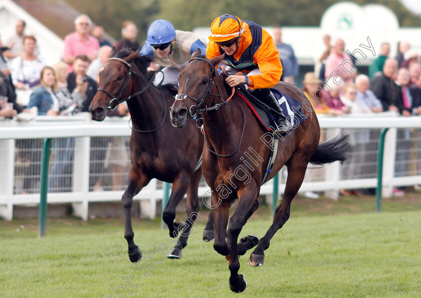 Potters-Lady-Jane-0004 
 POTTERS LADY JANE (Josephine Gordon) wins The British EBF Fillies Handicap
Yarmouth 20 Sep 2018 - Pic Steven Cargill / Racingfotos.com