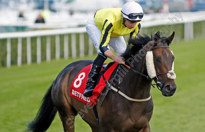 East-India-Dock-0001 
 EAST INDIA DOCK (Ryan Moore)
Doncaster 13 Sep 2024 - Pic Steven Cargill / Racingfotos.com