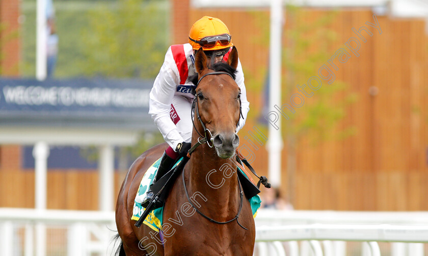 Pondus-0001 
 PONDUS (Oisin Murphy)
Newbury 20 Jul 2019 - Pic Steven Cargill / Racingfotos.com