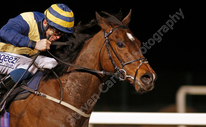 My-Footsteps-0002 
 MY FOOTSTEPS (David Probert)
Chelmsford 4 Mar 2021 - Pic Steven Cargill / Racingfotos.com