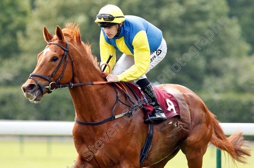 Mancini-0001 
 MANCINI (Richard Kingscote) 
Haydock 26 May 2018 - Pic Steven Cargill / Racingfotos.com