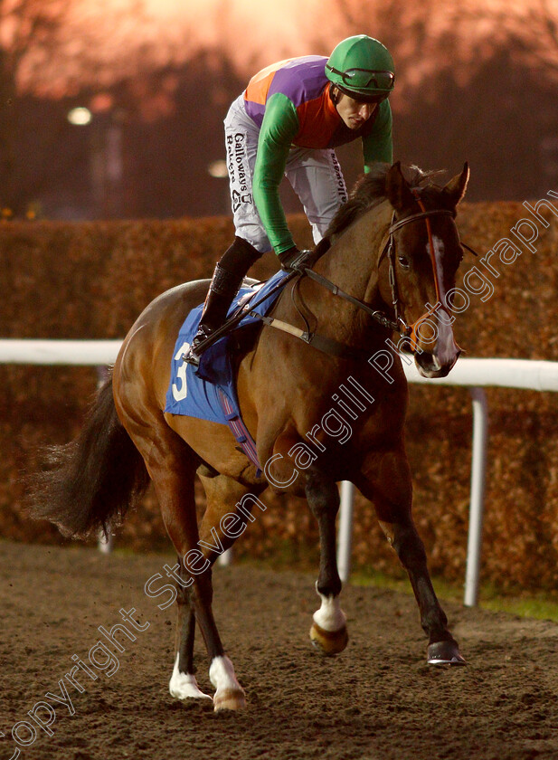 Don-Armado-0001 
 DON ARMADO (Richard Kingscote)
Kempton 4 Jan 2019 - Pic Steven Cargill / Racingfotos.com