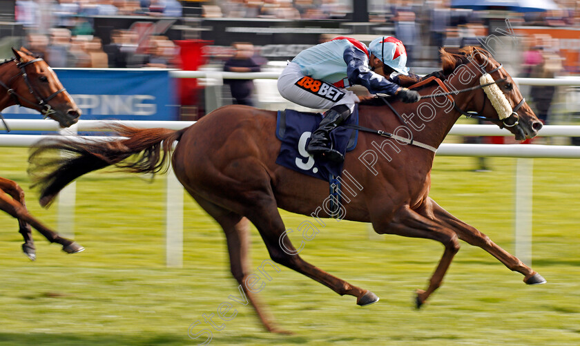 Desert-Skyline-0007 
 DESERT SKYLINE (Silvestre De Sousa) wins The Doncaster Cup Doncaster 15 Sep 2017 - Pic Steven Cargill / Racingfotos.com