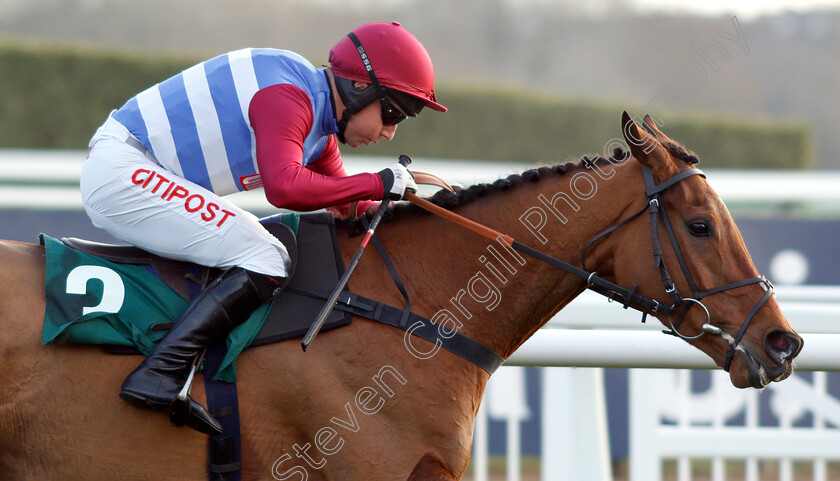 The-Worlds-End-0006 
 THE WORLDS END (Noel Fehily) wins The Neville Lumb Novices Chase
Cheltenham 14 Dec 2018 - Pic Steven Cargill / Racingfotos.com