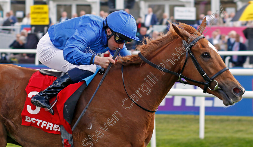 Desert-Flower-0001 
 DESERT FLOWER (William Buick) wins The Betfred May Hill Stakes
Doncaster 12 Sep 2024 - Pic Steven Cargill / Racingfotos.com