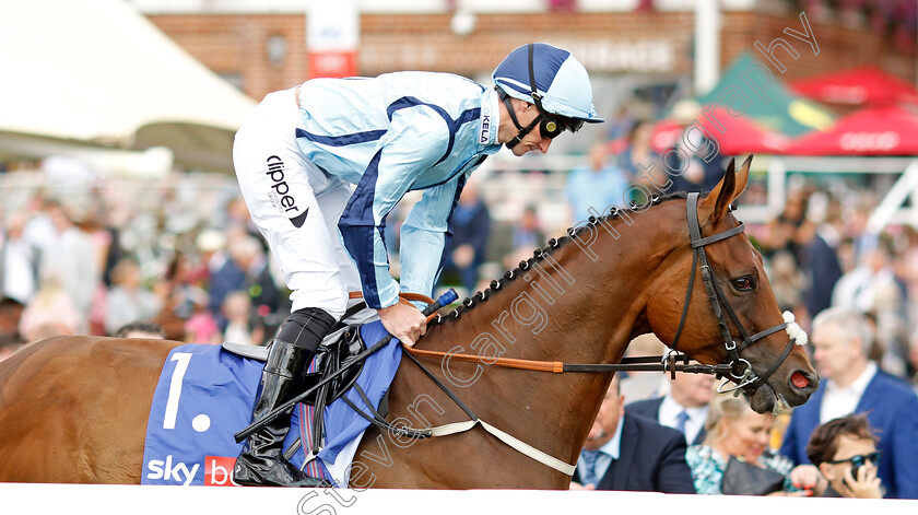 Get-Shirty 
 GET SHIRTY (Daniel Tudhope)
York 20 Aug 2022 - Pic Steven Cargill / Racingfotos.com