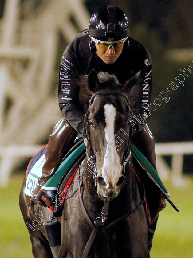 Equinox-0001 
 EQUINOX training for The Sheema Classic
Meydan, Dubai, 22 Mar 2023 - Pic Steven Cargill / Racingfotos.com