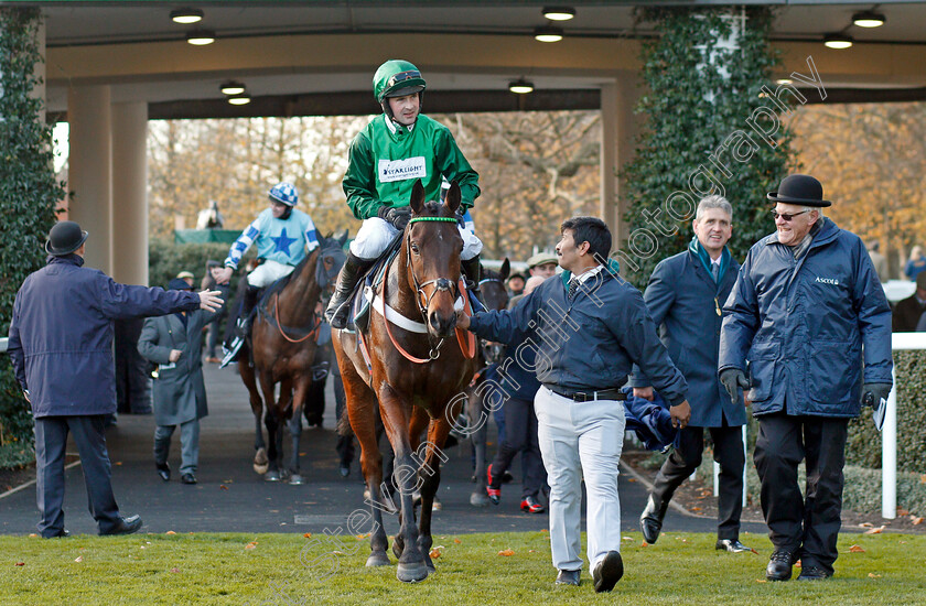 Top-Notch-0006 
 TOP NOTCH (Nico de Boinville) after The Christy 1965 Chase Ascot 25 Nov 2017 - Pic Steven Cargill / Racingfotos.com