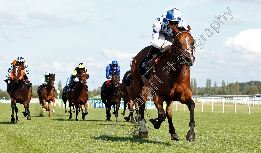 Makzeem-0001 
 MAKZEEM (Jason Watson) wins The Grundon Recycling Handicap
Newbury 20 Jul 2019 - Pic Steven Cargill / Racingfotos.com