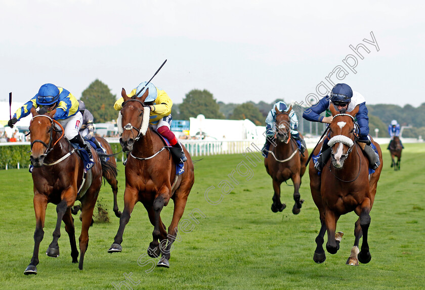 Coltrane-0003 
 COLTRANE (right, David Probert) beats LISMORE (centre) and TRUESHAN (right) in The Coral Doncaster Cup
Doncaster 11 Sep 2022 - Pic Steven Cargill / Racingfotos.com