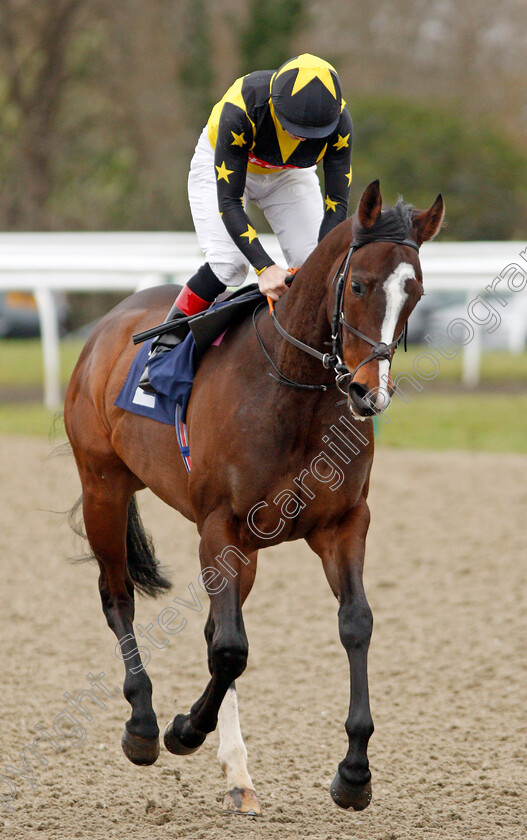 Fujaira-King-0001 
 FUJAIRA KING (Ben Curtis)
Lingfield 2 Jan 2020 - Pic Steven Cargill / Racingfotos.com