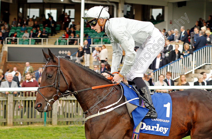 Cardsharp-0001 
 CARDSHARP (James Doyle) Newmarket 14 Oct 2017 - Pic Steven Cargill / Racingfotos.com