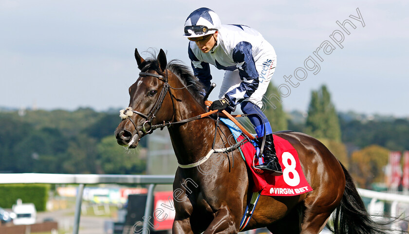 Nibras-Angel-0001 
 NIBRAS ANGEL (Benoit de la Sayette)
Sandown 2 Sep 2023 - Pic Steven Cargill / Racingfotos.com