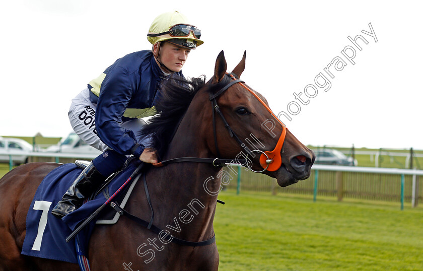 Paint-0001 
 PAINT (Hollie Doyle) Newmarket 28 Sep 2017 - Pic Steven Cargill / Racingfotos.com