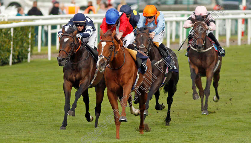 Davydenko-0001 
 DAVYDENKO (Ryan Moore) beats CERTAIN LAD (left) in The Magners Rose Handicap
Doncaster 12 Sep 2019 - Pic Steven Cargill / Racingfotos.com