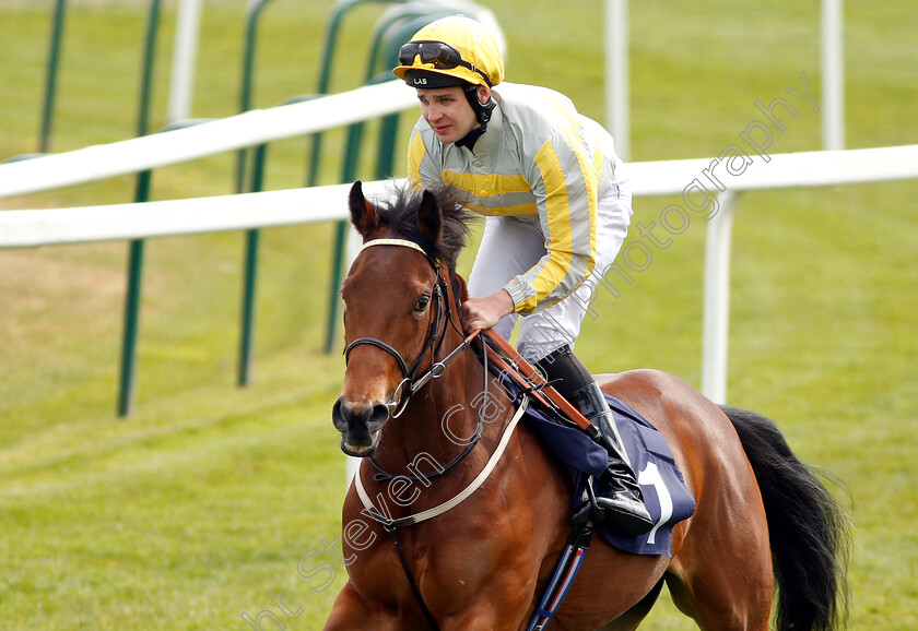 Allez-Sophia-0002 
 ALLEZ SOPHIA (Charles Bishop)
Yarmouth 23 Apr 2019 - Pic Steven Cargill / Racingfotos.com