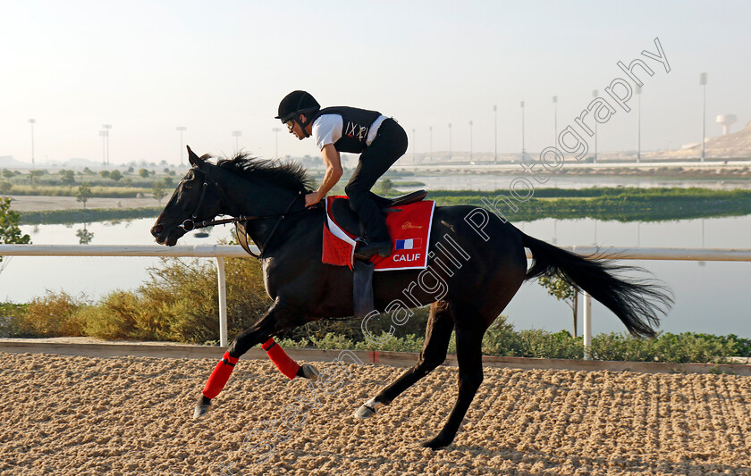 Calif-0001 
 CALIF training for the Bahrain International Trophy
Kingdom of Bahrain 13 Nov 2024 - Pic Steven Cargill / Racingfotos.com