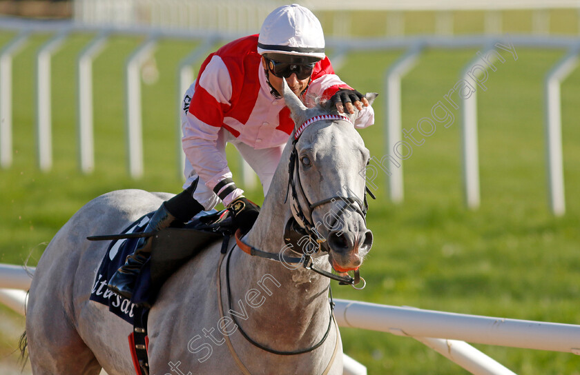 Duca-Di-Como-0003 
 DUCA DI COMO (Elione Chaves) after wins The Tattersalls Nickes Minneslopning for the fifth time.
Bro Park, Sweden 17 Sep 2023 - Pic Steven Cargill / Racingfotos.com