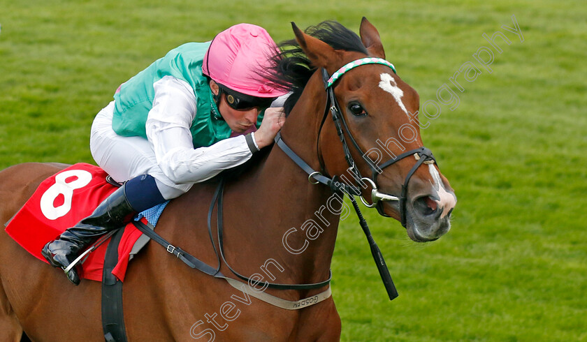 Siyola-0003 
 SIYOLA (William Buick) wins The bet365 Wild Card Fillies Novice Stakes
Sandown 26 Apr 2024 - Pic Steven Cargill / Racingfotos.com