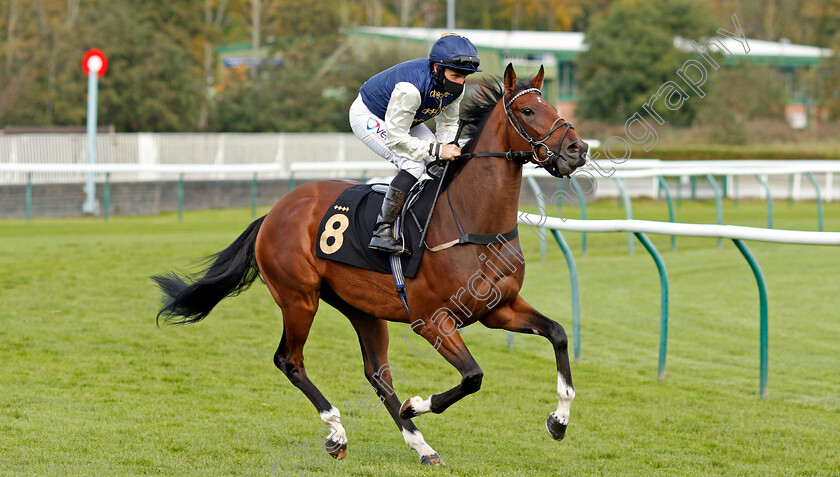 Balzac-0001 
 BALZAC (P J McDonald)
Nottingham 14 Oct 2020 - Pic Steven Cargill / Racingfotos.com