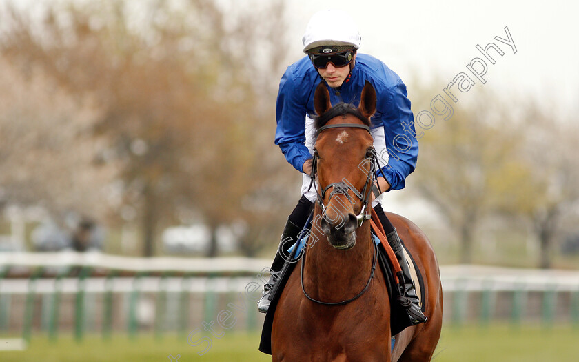 Orchid-Star-0001 
 ORCHID STAR (James Doyle)
Newmarket 16 Apr 2019 - Pic Steven Cargill / Racingfotos.com