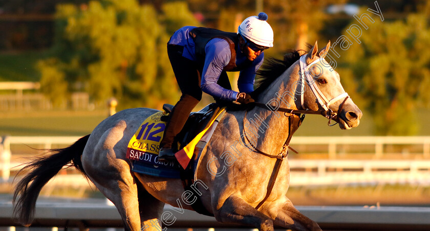 Saudi-Crown-0001 
 SAUDI CROWN training for The Breeders' Cup Classic
Santa Anita USA, 31 October 2023 - Pic Steven Cargill / Racingfotos.com