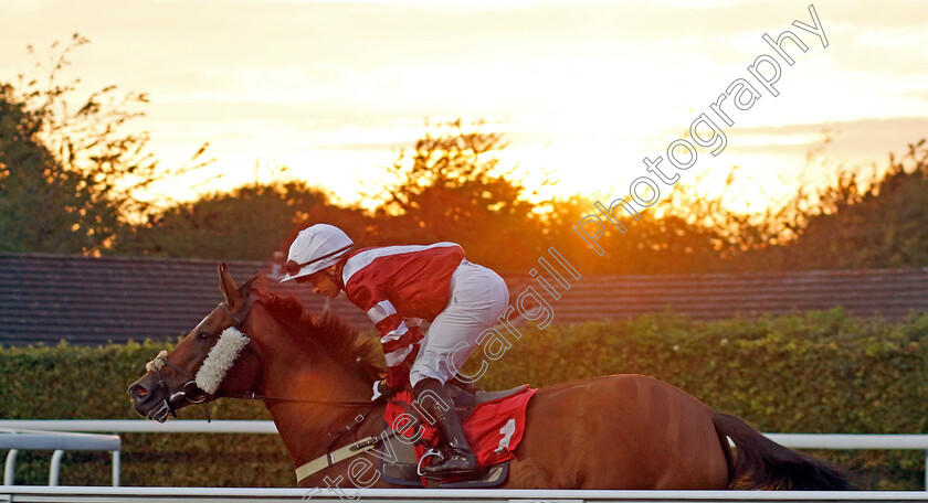 Bluenose-Belle-0001 
 BLUENOSE BELLE (Silvestre de Sousa)
Kempton 28 Aug 2024 - Pic Steven Cargill / Racingfotos.com