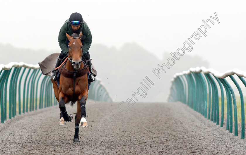 Knight-To-Behold-0003 
 KNIGHT TO BEHOLD, ridden by Mohammed Abdul Qazafi Mirza, on the gallops in preparation for The investec Derby
Lambourn 31 May 2018 - Pic Steven Cargill / Racingfotos.com