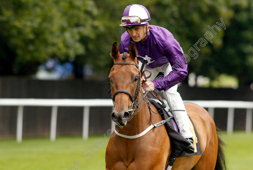 Flaccianello-0006 
 FLACCIANELLO (Kevin Stott) winner of The British EBF Fillies Nursery
Newmarket 5 Aug 2023 - Pic Steven Cargill / Racingfotos.com