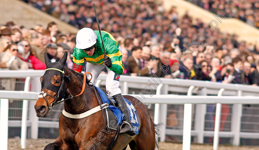 Dame-De-Compagnie-0006 
 DAME DE COMPAGNIE (Barry Geraghty) wins The Coral Cup
Cheltenham 11 Mar 2020 - Pic Steven Cargill / Racingfotos.com