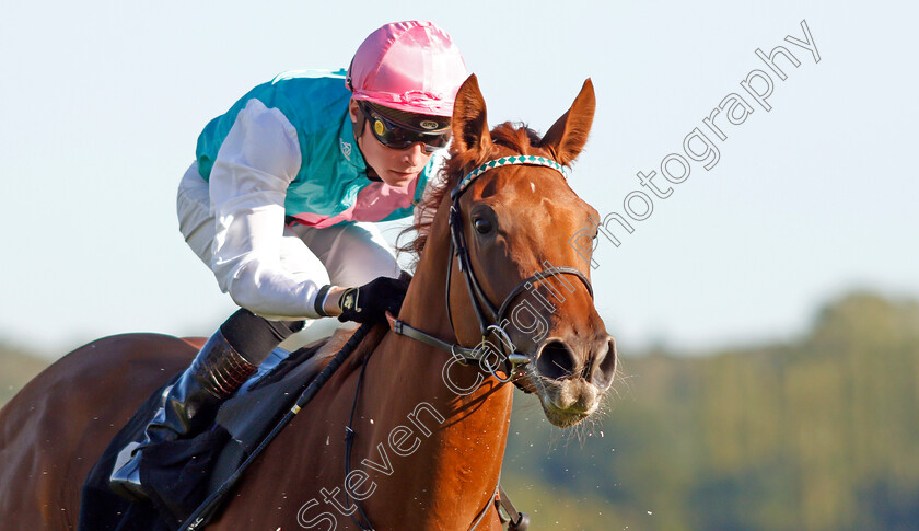 Quadrilateral-0010 
 QUADRILATERAL (Jason Watson) wins The Dubai Duty Free Full Of Surprises British EBF Fillies Conditions Stakes
Newbury 20 Sep 2019 - Pic Steven Cargill / Racingfotos.com