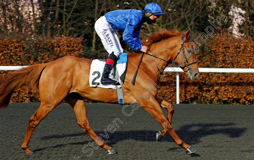 Echo-Point-0001 
 ECHO POINT (Adam Kirby) winner of The Try Our New Price Boosts At Unibet Novice Stakes
Kempton 3 Feb 2021 - Pic Steven Cargill / Racingfotos.com