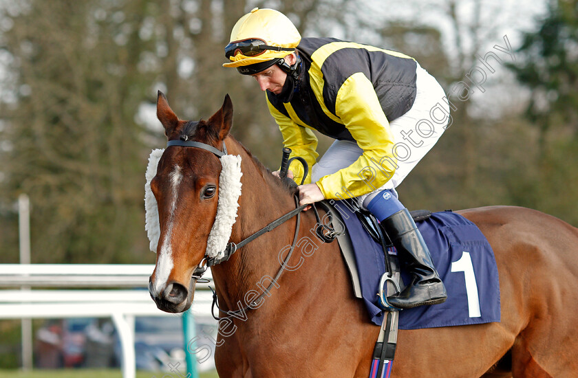 Stopdworldnletmeof-0001 
 STOPDWORLDNLETMEOF (Martin Dwyer)
Lingfield 27 Feb 2021 - Pic Steven Cargill / Racingfotos.com