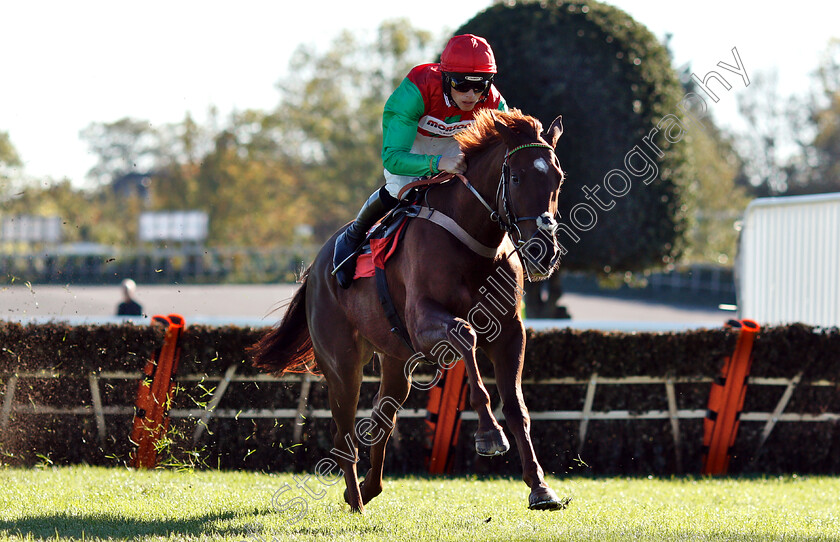 Quel-Destin-0004 
 QUEL DESTIN (Harry Cobden) wins The Matchbook Betting Exchange Juvenile Hurdle
Kempton 21 Oct 2018 - Pic Steven Cargill / Racingfotos.com