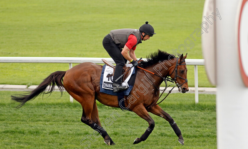 Emaraaty-Ana-0002 
 EMARAATY ANA training for The Al Quoz Sprint
Meydan Dubai 26 Mar 2024 - Pic Steven Cargill / Racingfotos.com