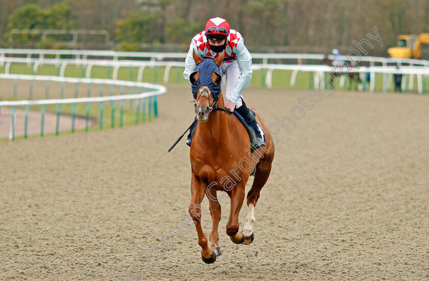 Red-Verdon-0001 
 RED VERDON (Adam Kirby)
Lingfield 6 Feb 2021 - Pic Steven Cargill / Racingfotos.com