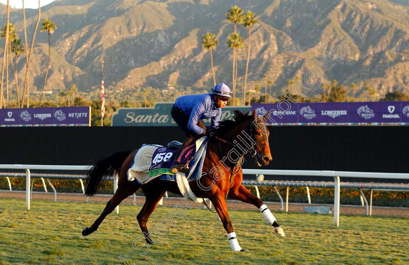 Master-Of-The-Seas-0003 
 MASTER OF THE SEAS training for the Breeders' Cup Mile
Santa Anita USA, 1 Nov 2023 - Pic Steven Cargill / Racingfotos.com