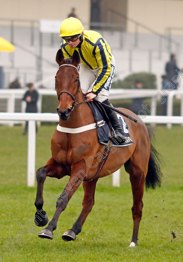 Bo-Zenith-0001 
 BO ZENITH (James Bowen)
Ascot 18 Jan 2025 - Pic Steven Cargill / Racingfotos.com