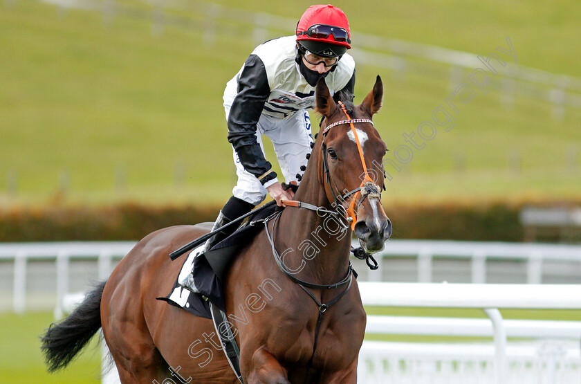 Pleasure-Garden-0002 
 PLEASURE GARDEN (Luke Morris)
Goodwood 11 Oct 2020 - Pic Steven Cargill / Racingfotos.com