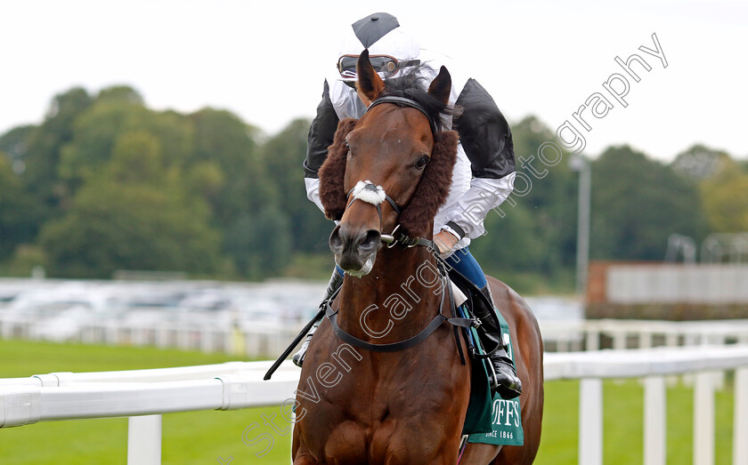 Master-Franca-0001 
 MASTER FRANCA (William Buick)
York 24 Aug 2023 - Pic Steven Cargill / Racingfotos.com