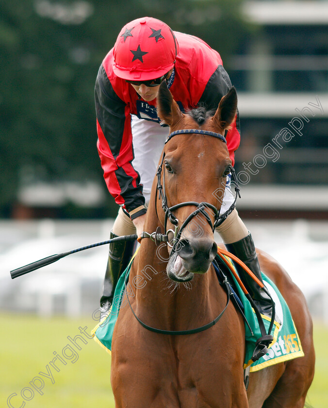 Oxted-0003 
 OXTED (David Probert)
Newbury 20 Jul 2019 - Pic Steven Cargill / Racingfotos.com